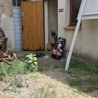photo de livraison pour Bien vivre avec les Chats Sallélois