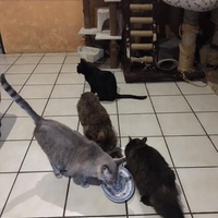 photo de livraison pour Refuge du Poil à la Plume