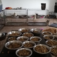 photo de livraison pour Sammelstelle für Tiere in Not e.V.