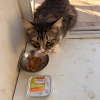 photo de livraison pour Au Rendez-vous des Animaux