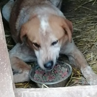 photo de livraison pour Samira Gagula