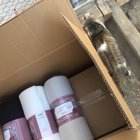 photo de livraison pour Les Chats Libres Condom 32