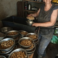 photo de livraison pour Svetlana Bjelogrlic