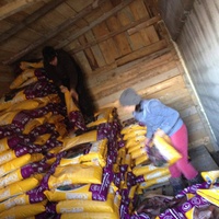 photo de livraison pour Alina & Anda