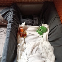 photo de livraison pour Ronron du Bonheur
