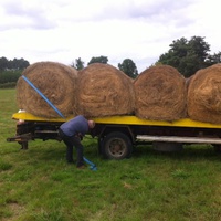 photo de livraison pour Cheval Espoir 33