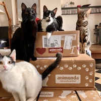 photo de livraison pour Association C.A.T.S. Chat Animal Terrien Solidarité