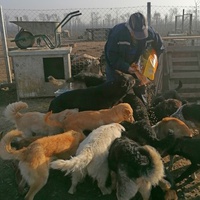 photo de livraison pour Association for the protection of animals "BAK"