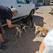 photo de livraison pour ADAN Essaouira