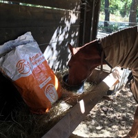 photo de livraison pour Equi-Vivre