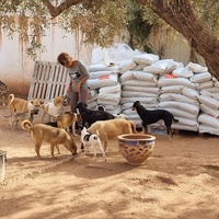 photo de livraison pour Help Adopt Moroccan Animals