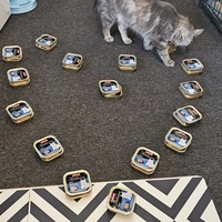 photo de livraison pour Les Chats du Coeur de Longvic