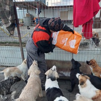photo de livraison pour Associtia Axi Hope Romania