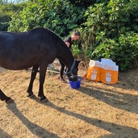 photo de livraison pour La Retraite des Chevaux des Causses
