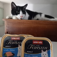 photo de livraison pour Les Pattounes de l'Espoir