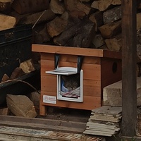 photo de livraison pour Les Pattounes Libres