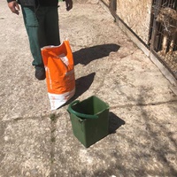 photo de livraison pour Florentina Cioaca