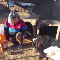 photo de livraison pour Ramona Ciprian Rotunjeanu