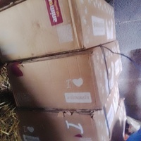 photo de livraison pour Ulyan