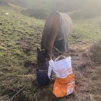 photo de livraison pour Espoir au Galop