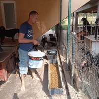 photo de livraison pour Društvo za zaštitu životinja "Bela"