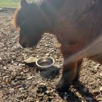 photo de livraison pour Refuge du Poil à la Plume