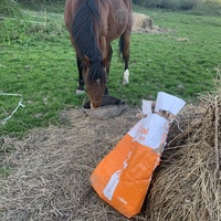 photo de livraison pour Espoir au Galop