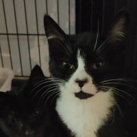 photo de livraison pour Hope14