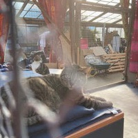 photo de livraison pour Association Des  Chats  De Hyeres
