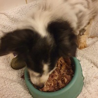 photo de livraison pour AVRAH