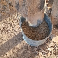 photo de livraison pour Equi-Libre : Droit à la Retraite Equine