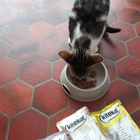 photo de livraison pour Chat Va Bien