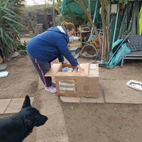 photo de livraison pour Chats Libres de Béziers