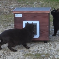 photo de livraison pour URGENCE AIDE ANIMAUX