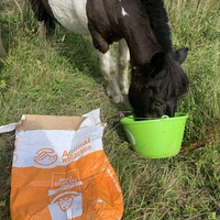photo de livraison pour Espoir au Galop
