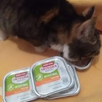 photo de livraison pour Stérilcat 80