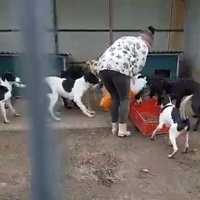 photo de livraison pour Associtia Axi Hope Romania