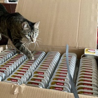 photo de livraison pour Association C.A.T.S. Chat Animal Terrien Solidarité