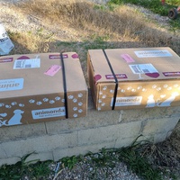 photo de livraison pour Les Chats Libres de Montfrin