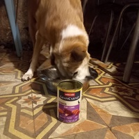 photo de livraison pour AVRAH