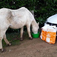 photo de livraison pour Association hippique du Caroux