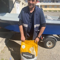 photo de livraison pour Les chats Port-Saint-Louisiens