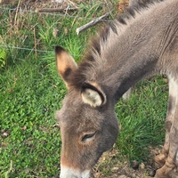 photo de livraison pour ADADA