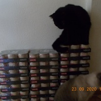 photo de livraison pour Chats Libres des Hauts Cantons de l'Hérault