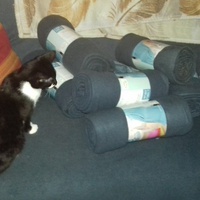 photo de livraison pour Pour l'Amour des Chats