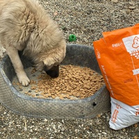 photo de livraison pour Saving Orphaned Souls Sheila's Animal Rescue Mission