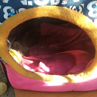 photo de livraison pour ANIMAL ATTITUDE