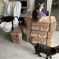 photo de livraison pour SADF (Sauvetage des animaux domestiques de France)