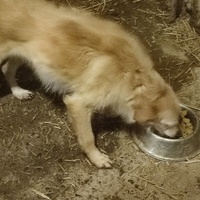 photo de livraison pour Ivana Nikolić