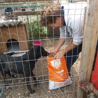 photo de livraison pour Innocente
